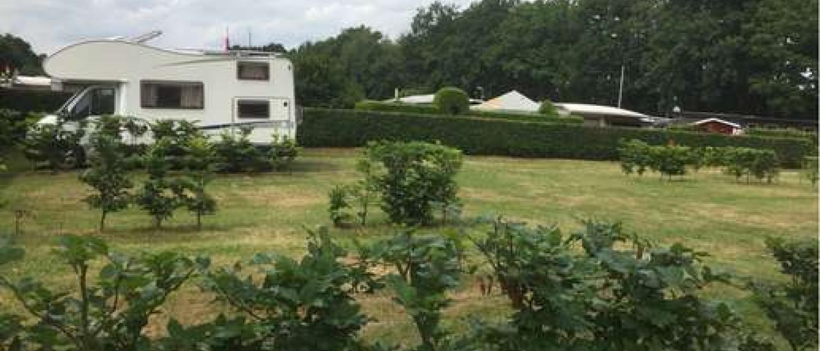 Hoofdfoto Campingplatz Apelhof
