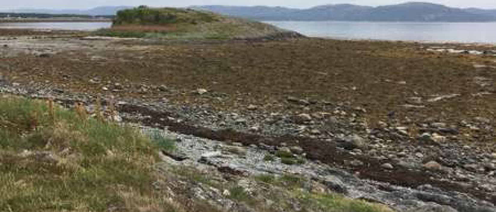 Hoofdfoto Fjæra