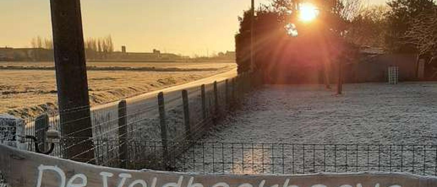 Hoofdfoto Camperplaats De Veldhoekhoeve