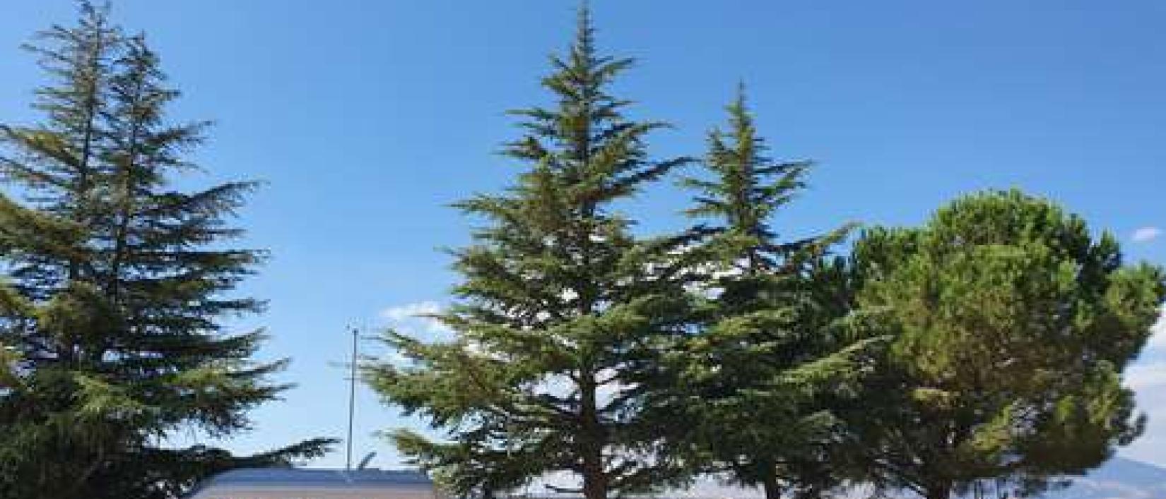 Hoofdfoto Area Comunale