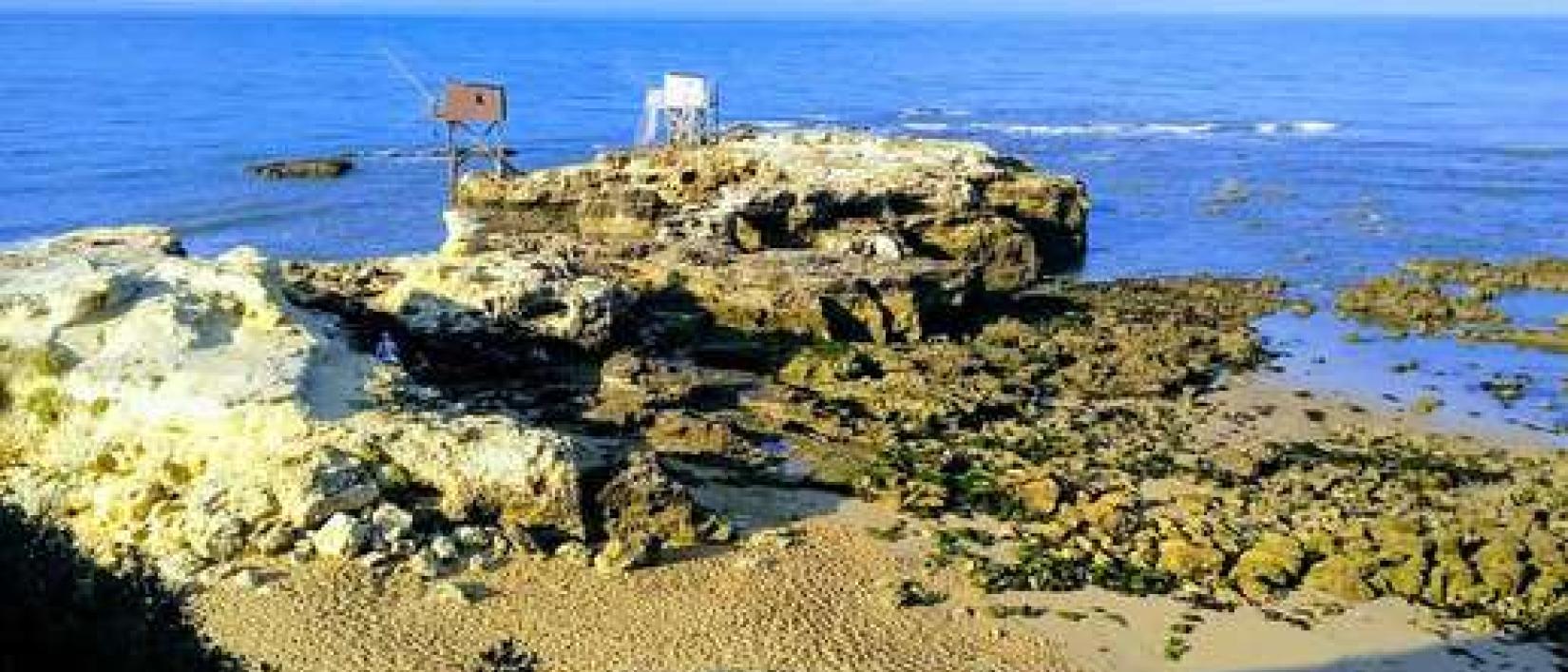 Hoofdfoto Aire Camping-Car Park de Saint-Palais-sur-Mer.