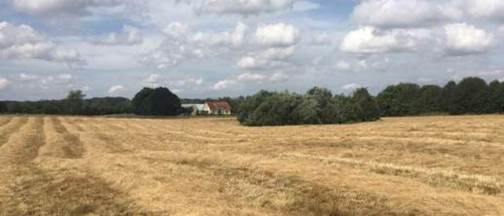 Hoofdfoto Odense West - Mosegaarden