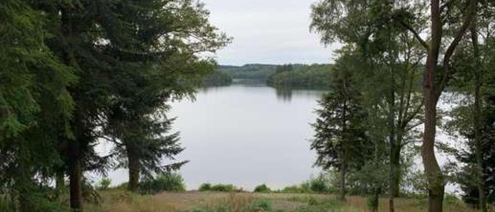 Hoofdfoto Aire CAMPING-CAR PARK du Lac du Saint-Pardoux, Razès