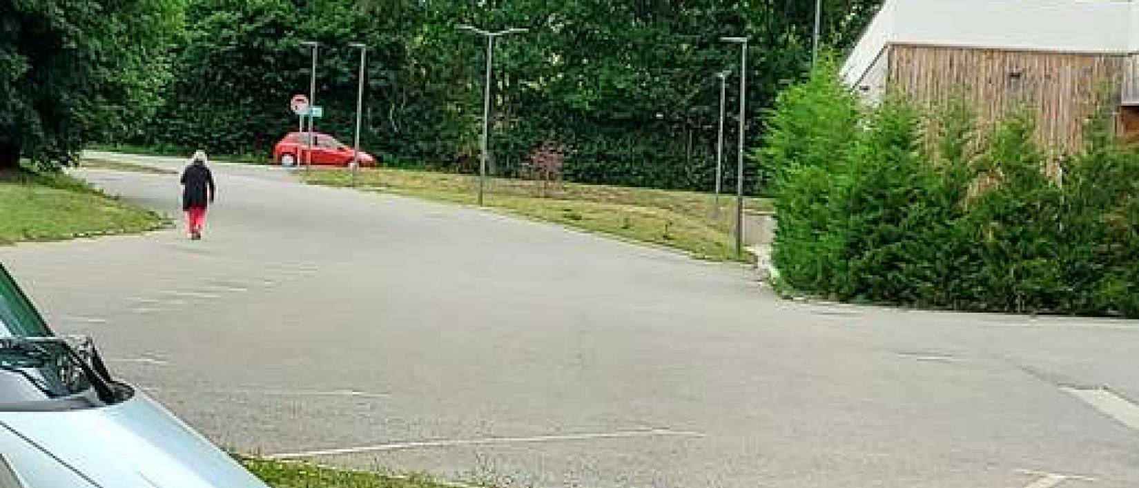 Hoofdfoto Saint Bonnet en Champsaur Valgaudemar