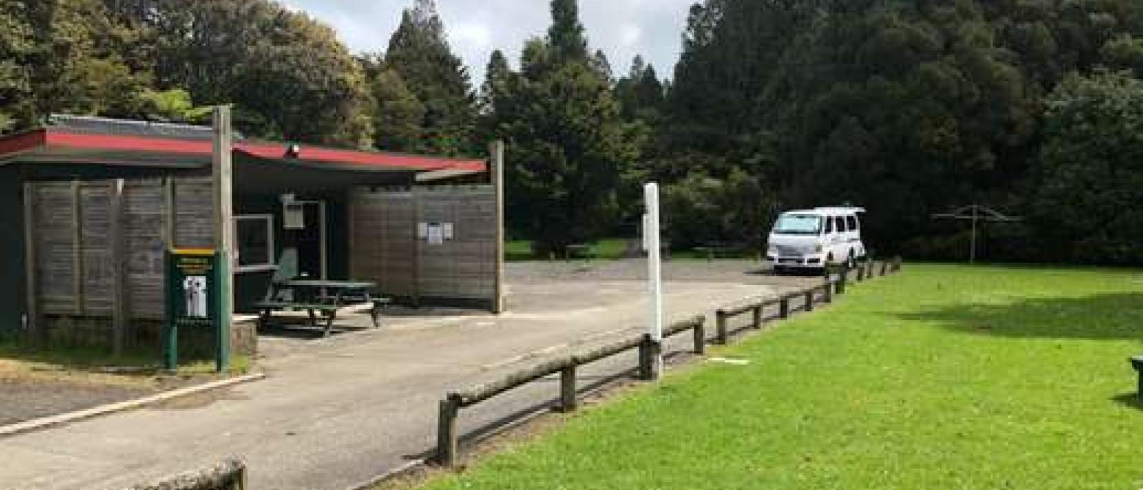 Hoofdfoto Trounson Kauri Park