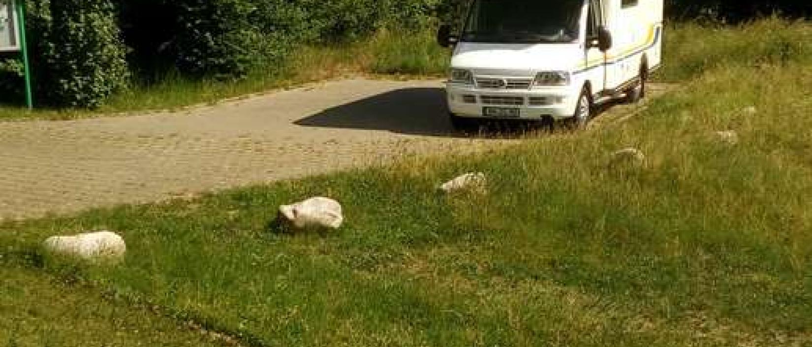 Hoofdfoto Parking Neckarwestheim