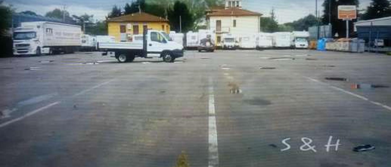 Hoofdfoto Area  Comunale