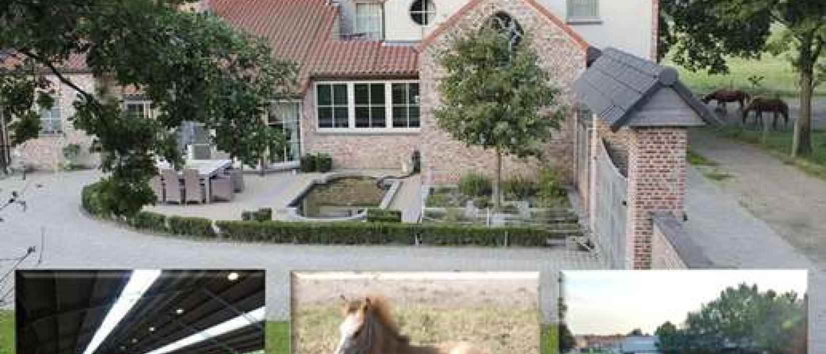 Hoofdfoto Stoeterij Het Schaef