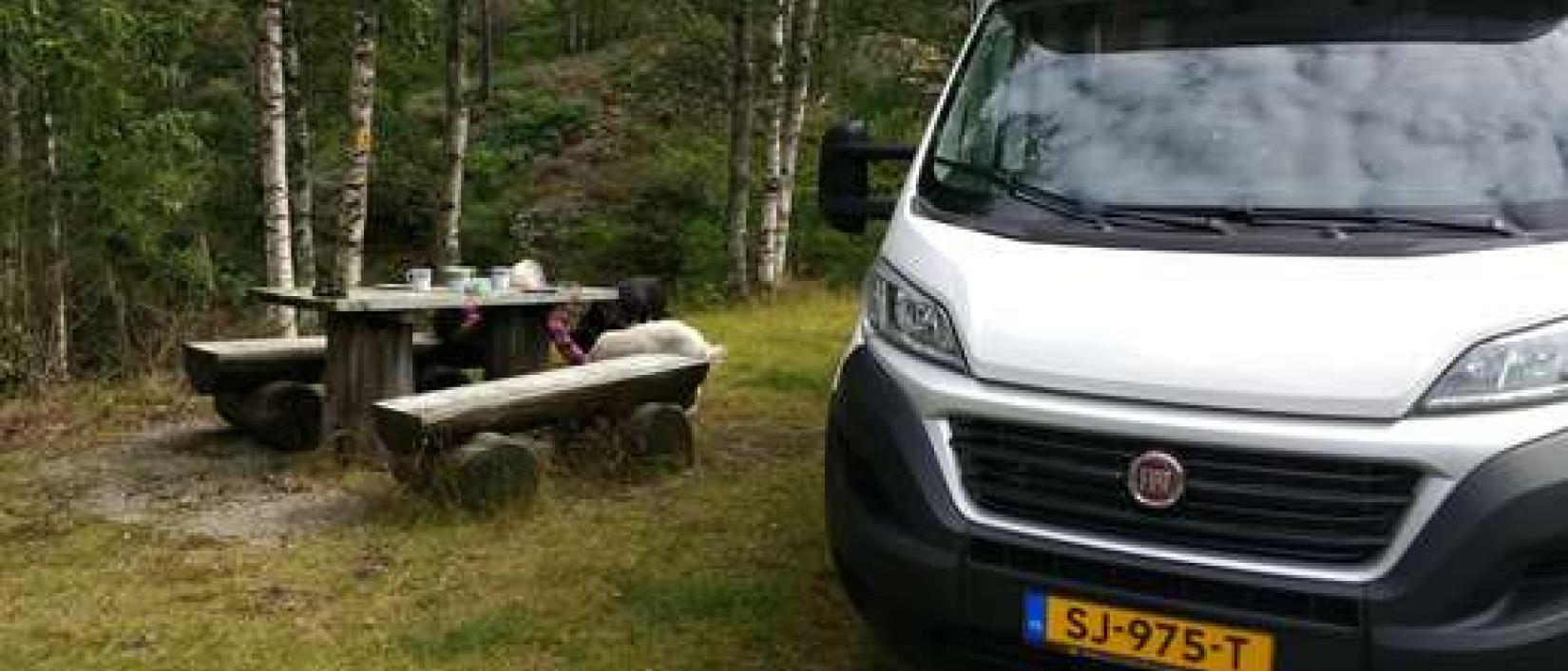Hoofdfoto Picknickterrein Fv901
