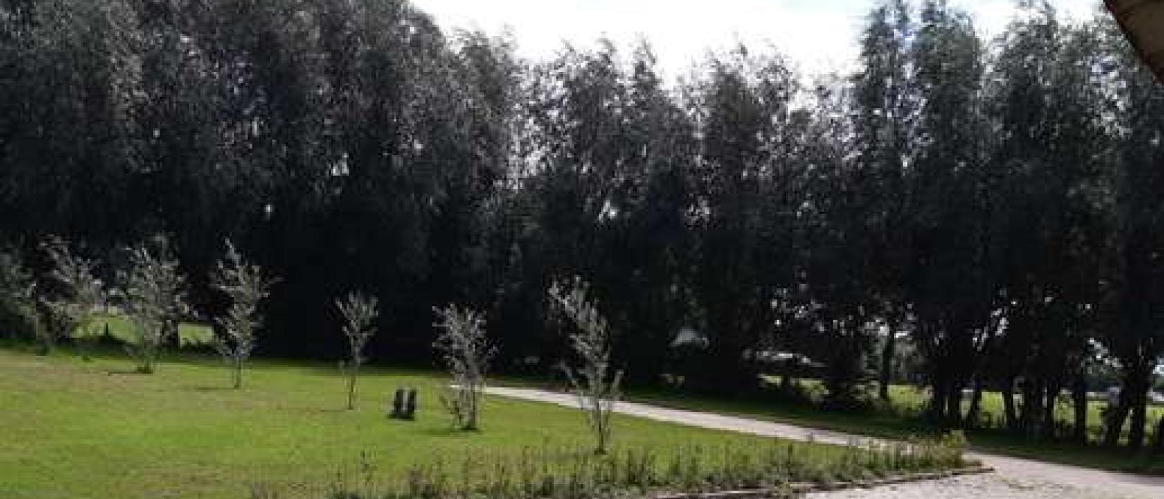 Hoofdfoto Camperlocatie Klein Dorp