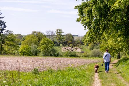 cotswolds