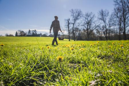 Kruidenwandeling