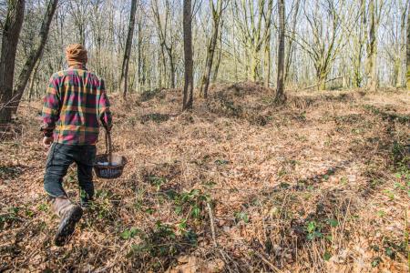 Kruidenwandeling