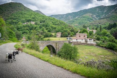 Ardèche