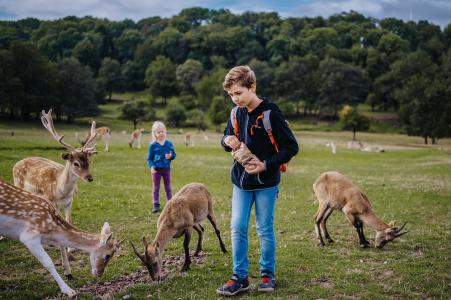 Naturwildpark Freisen ©Marcus Simaitis