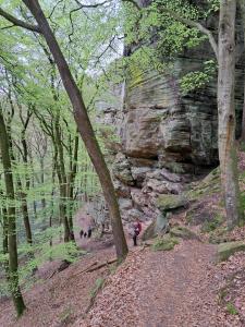 wandelen Mullerthal