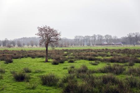 Drenthe