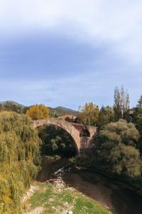 Sant Joan de les Abadesses
