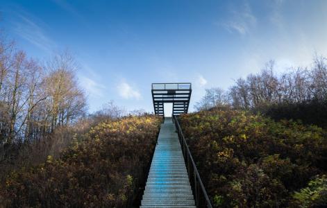 Zeche Zollverein