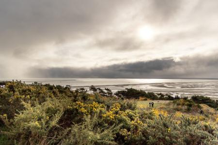 Terschelling