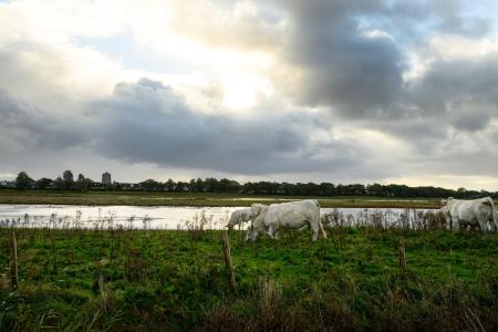 Knooppuntfietsen in Schouwen-Duiveland