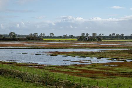 Knooppuntfietsen in Schouwen-Duiveland