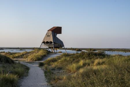 marker wadden