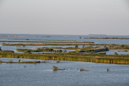 marker wadden