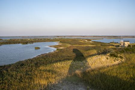 marker wadden