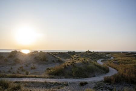 marker wadden