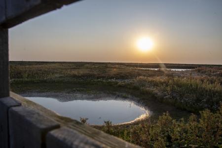 marker wadden