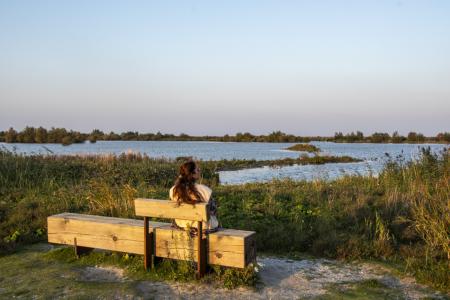 marker wadden
