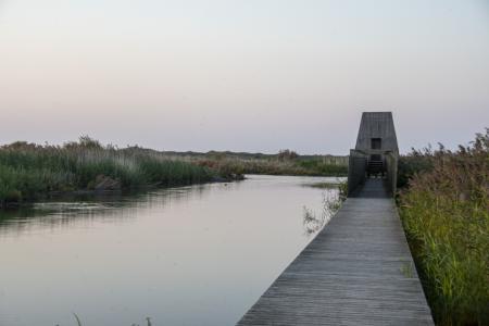marker wadden