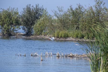 marker wadden