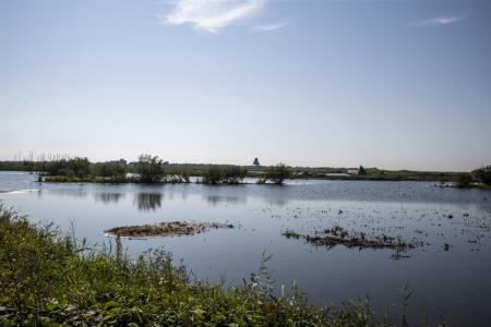 marker wadden