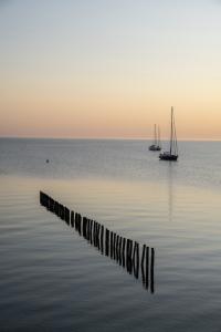 marker wadden