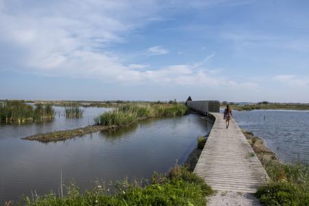 marker wadden