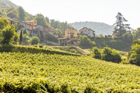 ticino