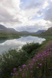 Kungsleden