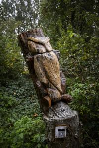 Ellen Van den Bouwhuisen