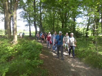 onderweg in de voormiddag