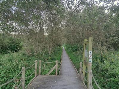 Parkbos Gent - knuppelpad