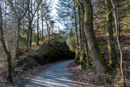Houffalize