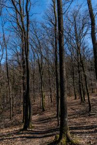 Houffalize
