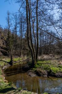 Houffalize