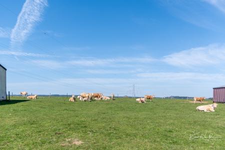 Houffalize