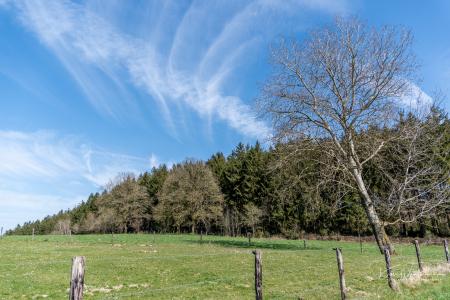 Houffalize