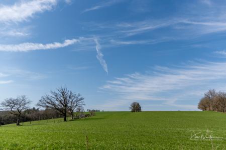 Houffalize