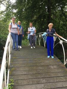 Chinese brug in het park