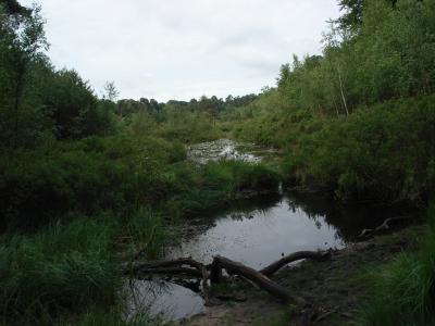 Edegemse Beekvallei in Kontich